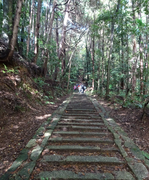 DSC05781弘仁寺参道.png